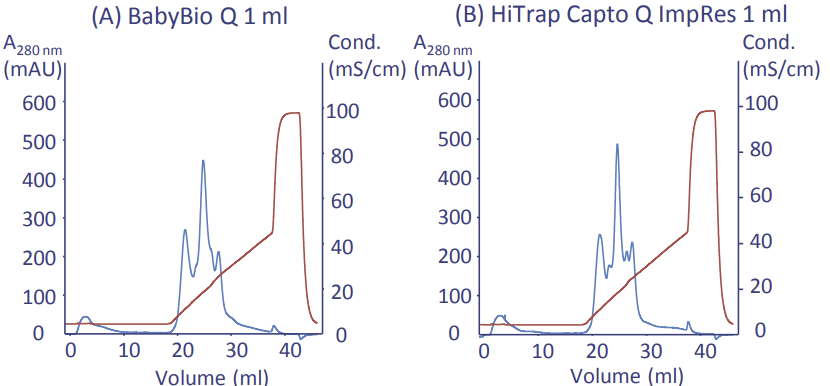 Separation on BabyBio Q 1 ml (A) and HiTrap Capto Q ImpRes