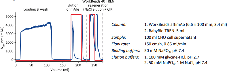  mAb purification where 100 ml clarified CHO cell supernatant is loaded onto WorkBeads 40 TREN 