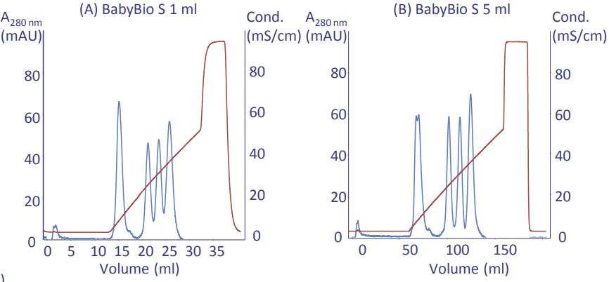  Scale-up from a BabyBio S 1 ml column to a BabyBio 