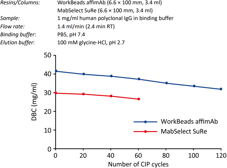 Comparison of dynamic binding capacity of WorkBeads affimAb