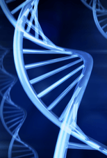 Protein A chromatography will remove DNA