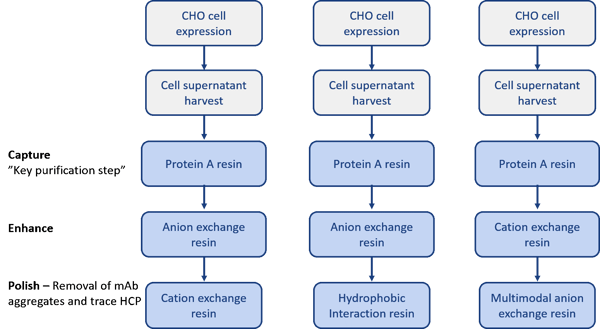 Processes with protein A