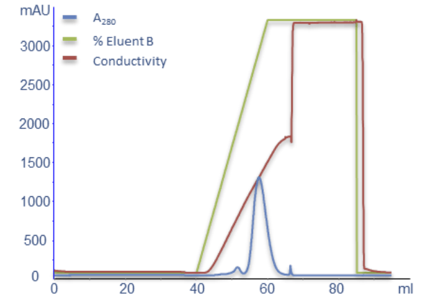 Determination of elution conditions on BabyBio™ S 5 ml column