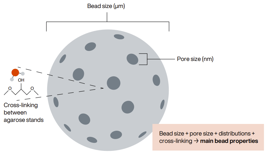 An illustration of some important parameters