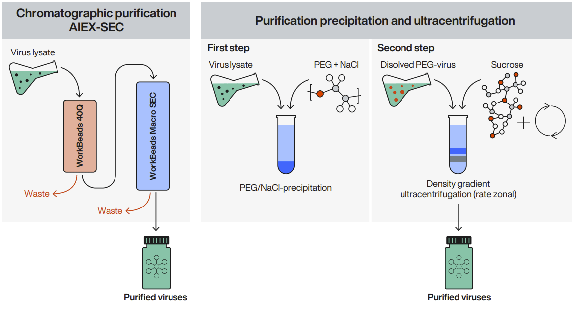 Chromatographic purification setup vs. purification by precipitation followed by ultracentrifugation