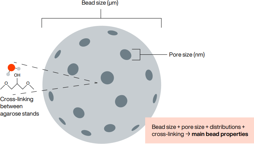 An illustration of some important parameters, such as bead size, pore size and cross-linking chemistry, affecting the bead properties