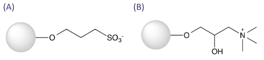 f2 (1)