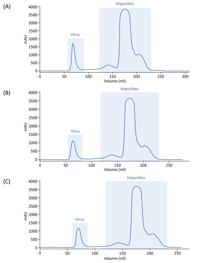 Reproducible results, three batches (A, B, C) of inactivated rabies virus purified on WorkBeads 40/1000 SEC.