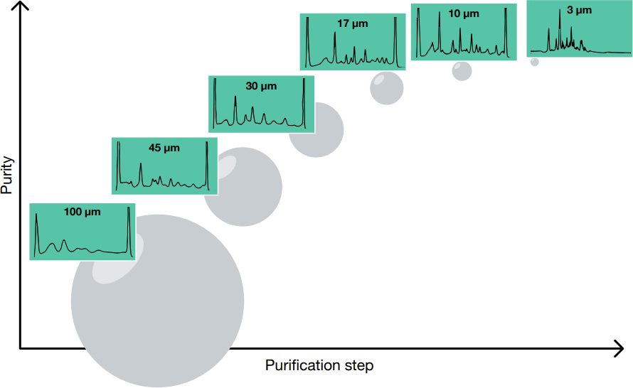 The correlation between resolution and backpressure for decreasing bead sizes Purity Purification step