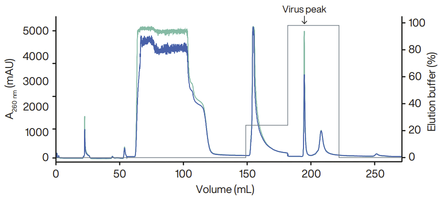 Tandem virus purification consisting of AIEX followed by SEC connected in series