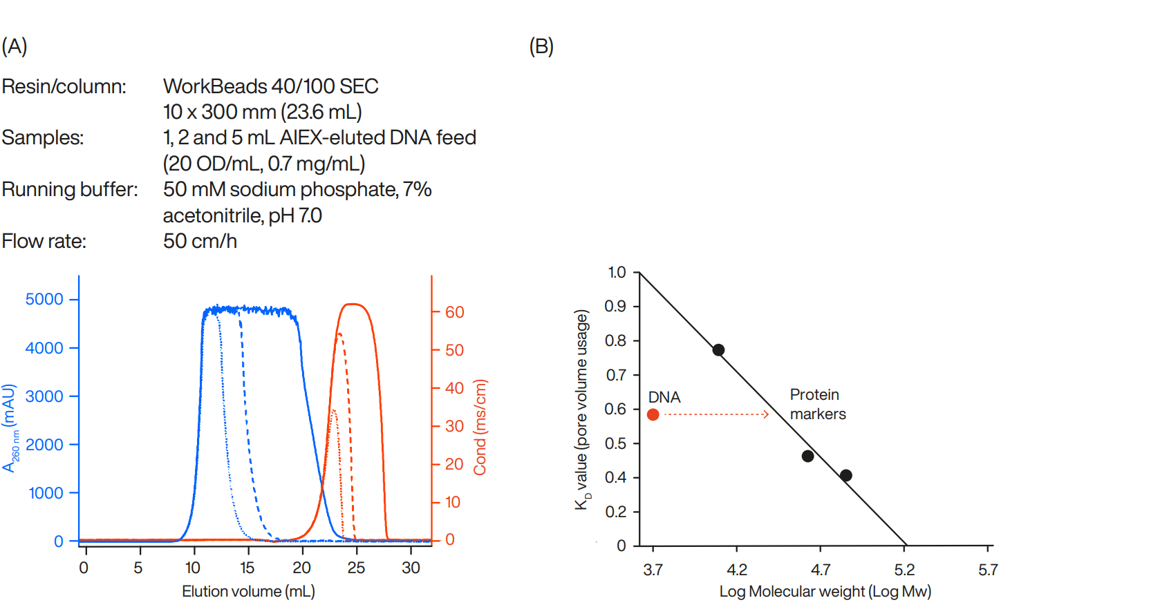 Different volumes of DNA feed (20 nt) loaded on WorkBeads 40/100 SEC at 50 cm/h.
