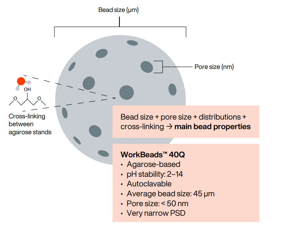 Illustration of the agarose-based WorkBeads 40Q bead