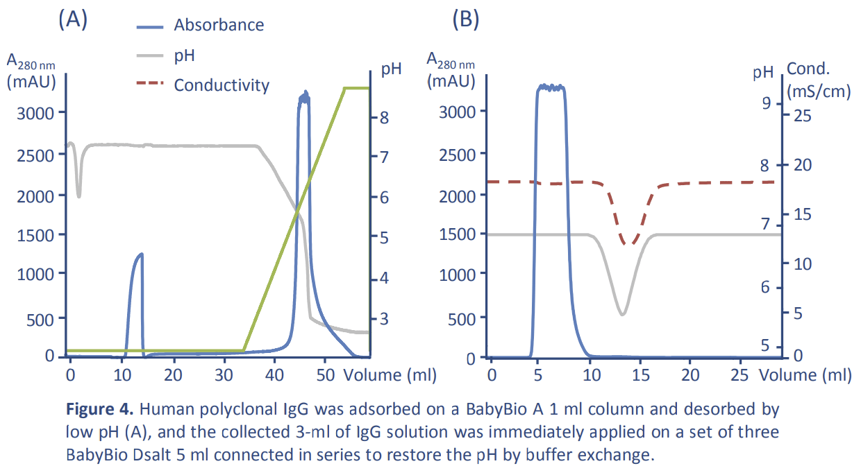 Human polyclonal IgG was adsorbed on a BabyBio