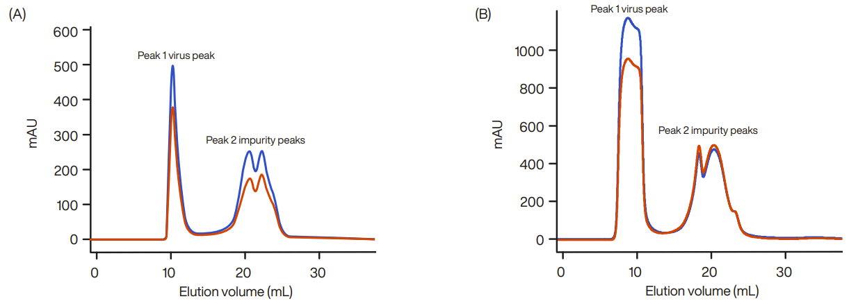 Size exclusion chromatograms using AIEX-pre-purified PRD1 preparation and WorkBeads Macro SEC using 1 mL feed