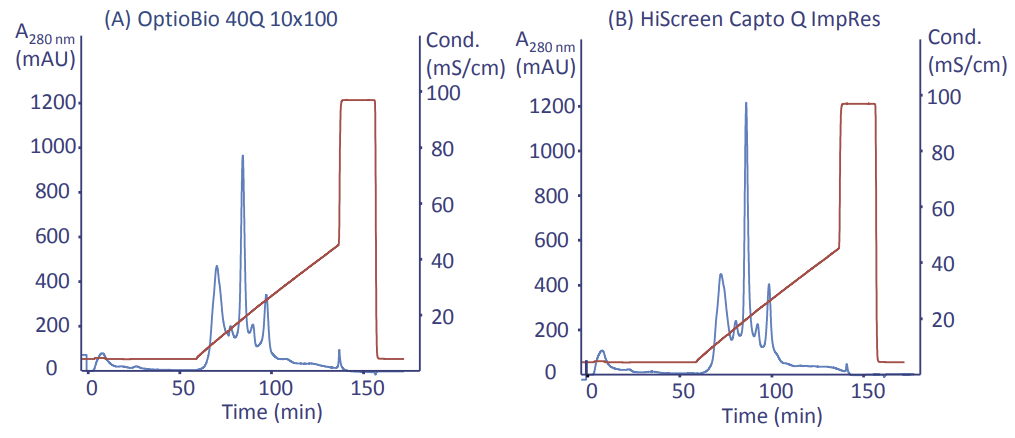 Resolution comparison on OptioBio 40Q 10x100 (A) vs. HiScreen Capto Q ImpRes