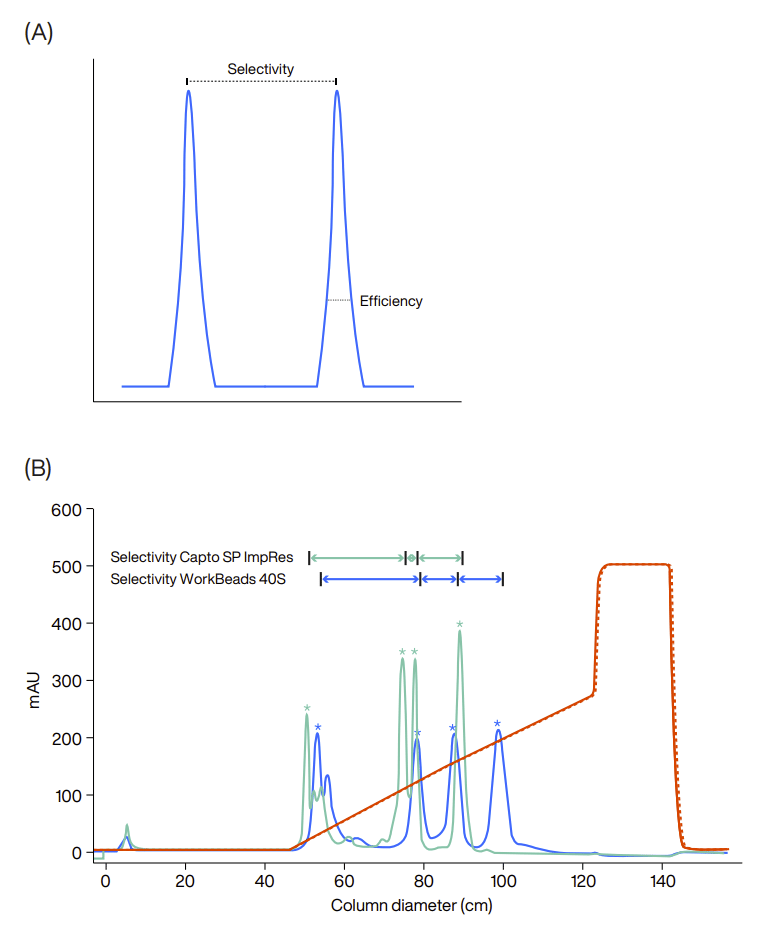 Selectivity and efficiency