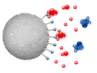 Ion exchange chromatography, IEX