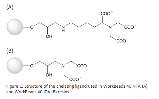 WB-IDANTA-structure