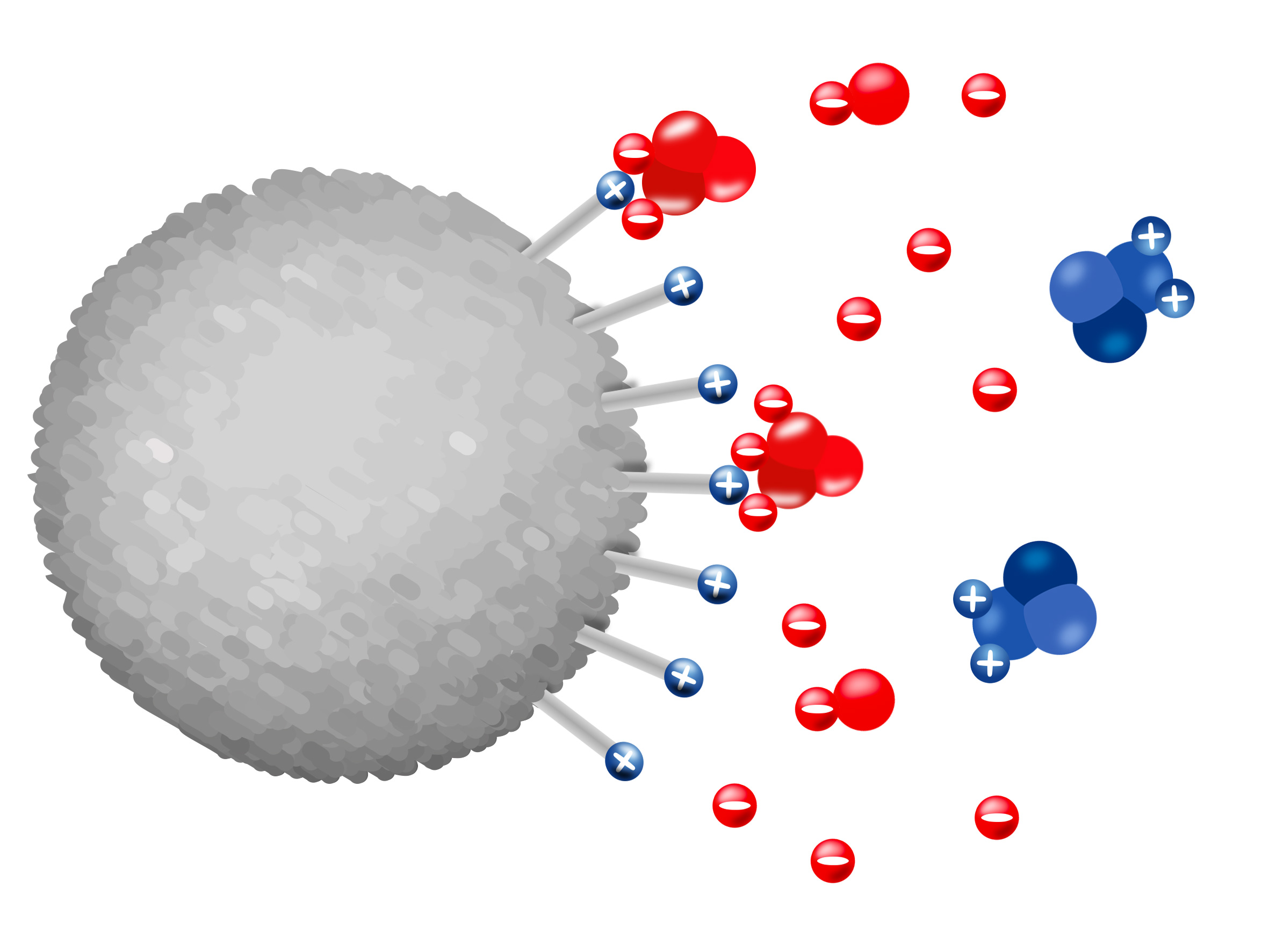 IEX-chromatography