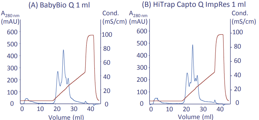 Separation on BabyBio Q 1 ml (A) and HiTrap Capto Q ImpRes