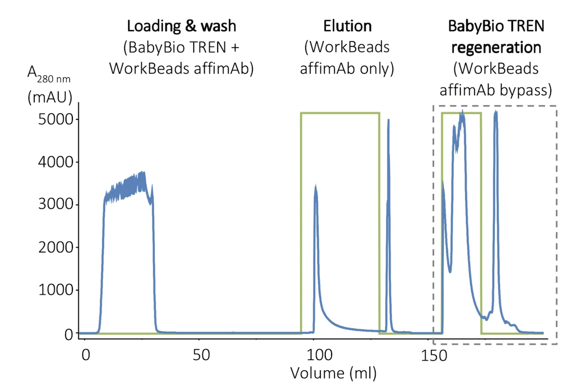 Protection of protein A resins during mAb purifications poster image