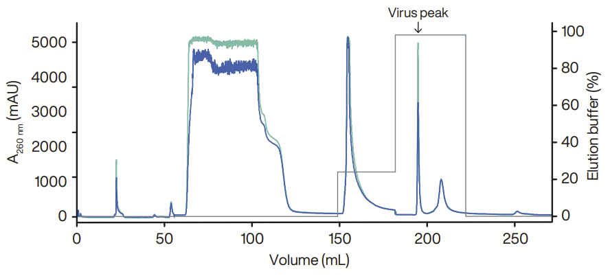 Tandem virus purification consisting of AIEX followed by SEC connected in series
