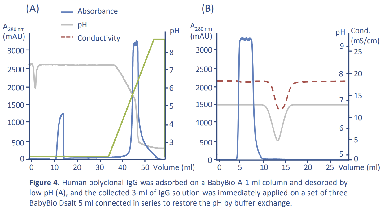 Human polyclonal IgG was adsorbed on a BabyBio