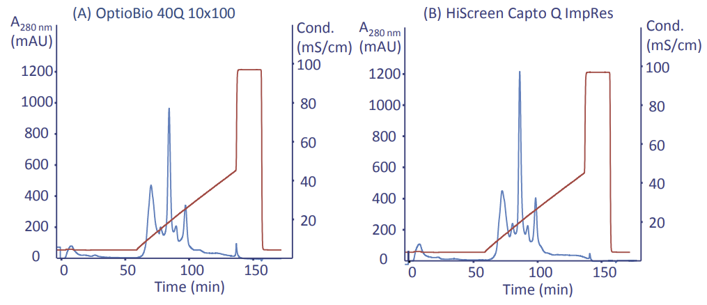 Resolution comparison on OptioBio 40Q 10x100 (A) vs. HiScreen Capto Q ImpRes