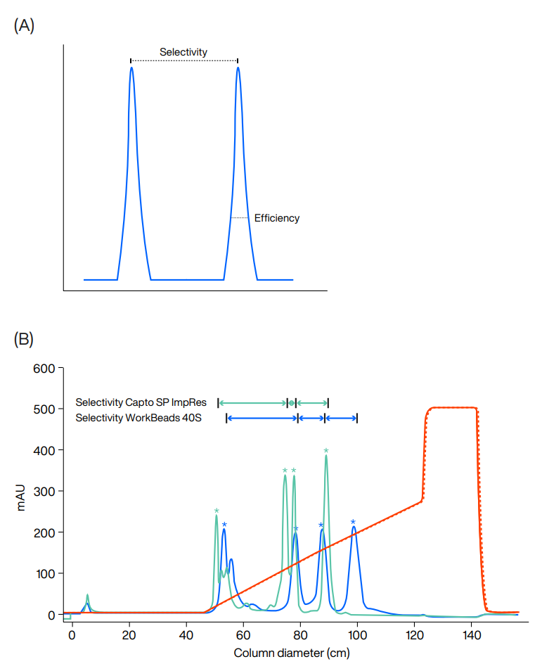 Selectivity and efficiency