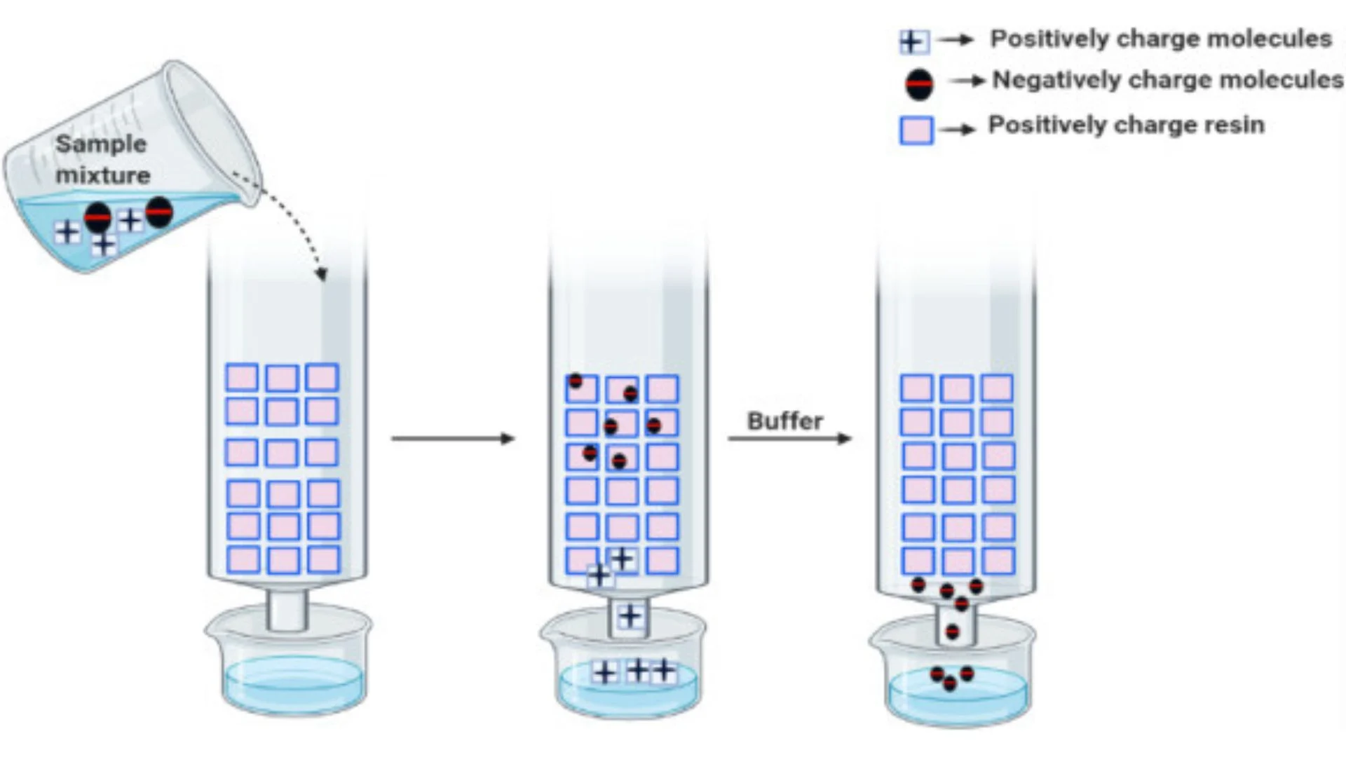 IEX chromatography principle diagram
